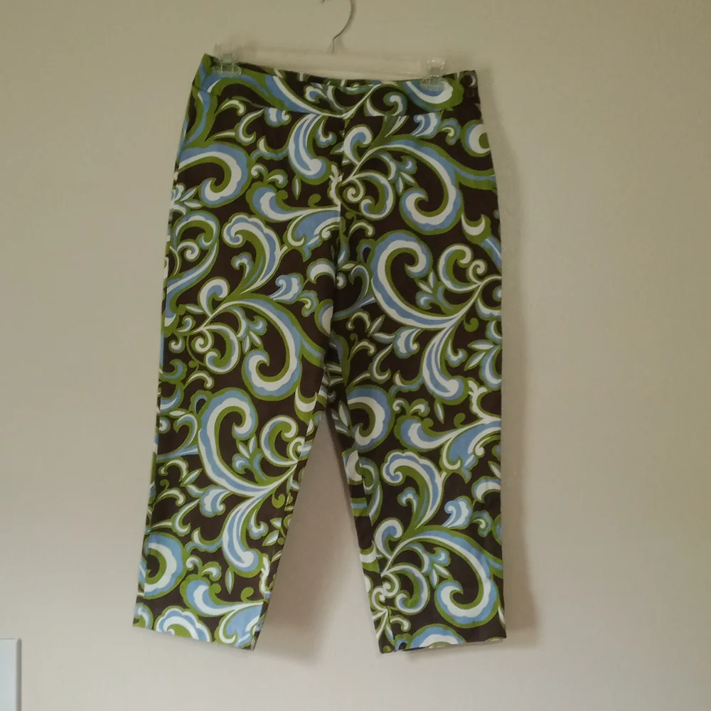 118 Talbots petite crop pants - Picture 1 of 7
